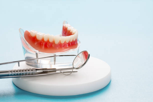 Trusted Forest View, IL  Holistic Dental Services Experts